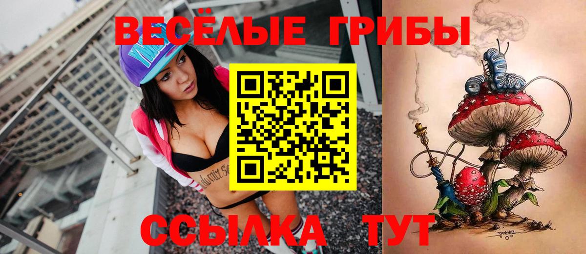 Галлюциногенные грибы Psilocybe  Псилоцибиновые грибы MAGIC MUSHROOMS  Вход с VPN  Саянск 